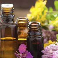 Guía para principiantes: introducción a los aceites y aromaterapia 